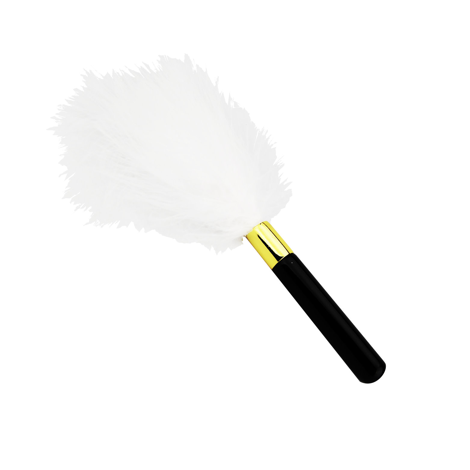 Bound to Play. Feather Teaser 2 intimate accessory