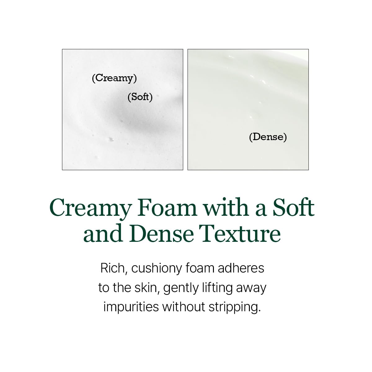 Round Lab - Pine Calming Cica Cleanser, Renewal, 150ml 5 Round Lab - Pine Calming Cica Cleanser, Renewal, 150ml - Image 4
