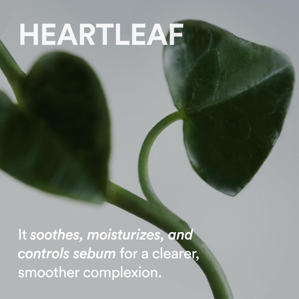 ABIB - Heartleaf Creme Calming Tube, 75ml 3 ABIB - Heartleaf Creme Calming Tube, 75ml - Image 2