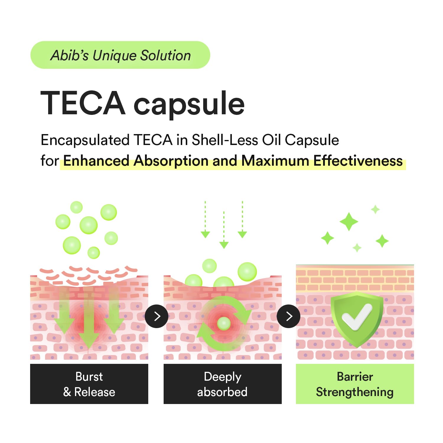 ABIB - Heartleaf TECA Capsule Serum Calming Drop, 50ml 7 ABIB - Heartleaf TECA Capsule Serum Calming Drop, 50ml - Image 6