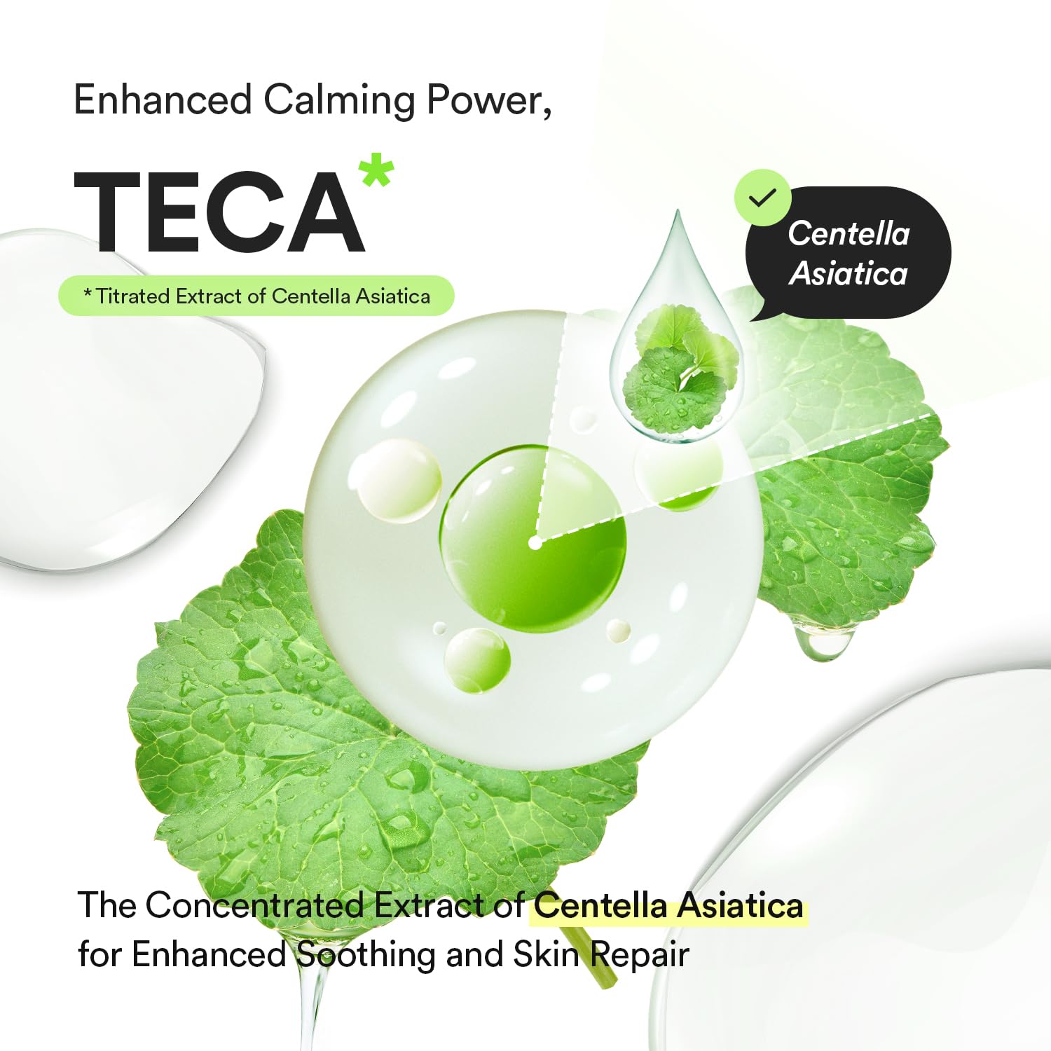 ABIB - Heartleaf TECA Capsule Serum Calming Drop, 50ml 4 ABIB - Heartleaf TECA Capsule Serum Calming Drop, 50ml - Image 3