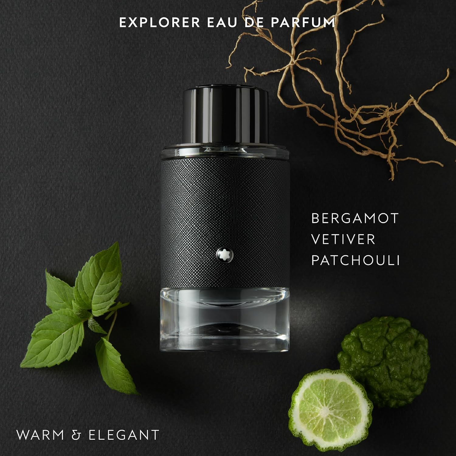 Mont Blanc Explorer EDP Men 100ml 5 Mont Blanc Explorer EDP Men 100ml - Image 4