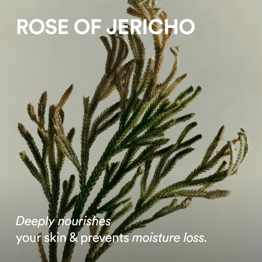 ABIB - Jericho Rose PHA Toner Skin Booster, 200ml 7 ABIB - Jericho Rose PHA Toner Skin Booster, 200ml - Image 6