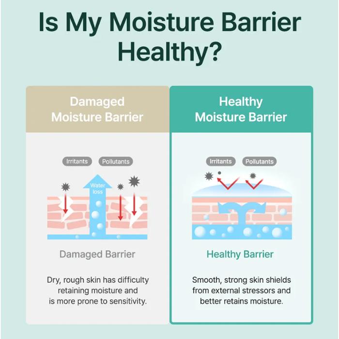 PURITO - Mighty Bamboo Panthenol Serum, 30ml 7 PURITO - Mighty Bamboo Panthenol Serum, 30ml - Image 6