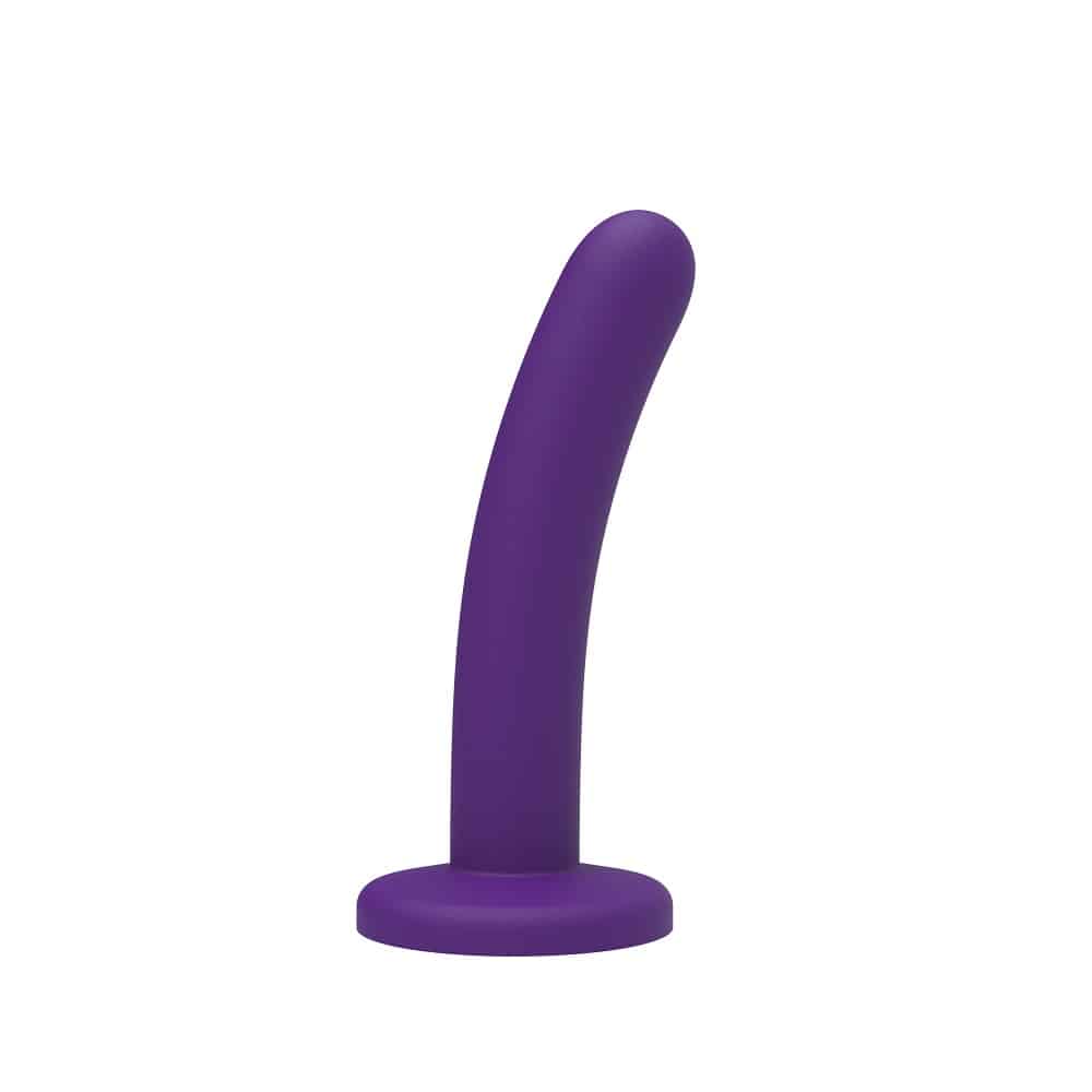 Mina Silk Curved Silicone Dildo 5 Inch 2 Mina Silk Curved Silicone Dildo 5 Inch - Image 1